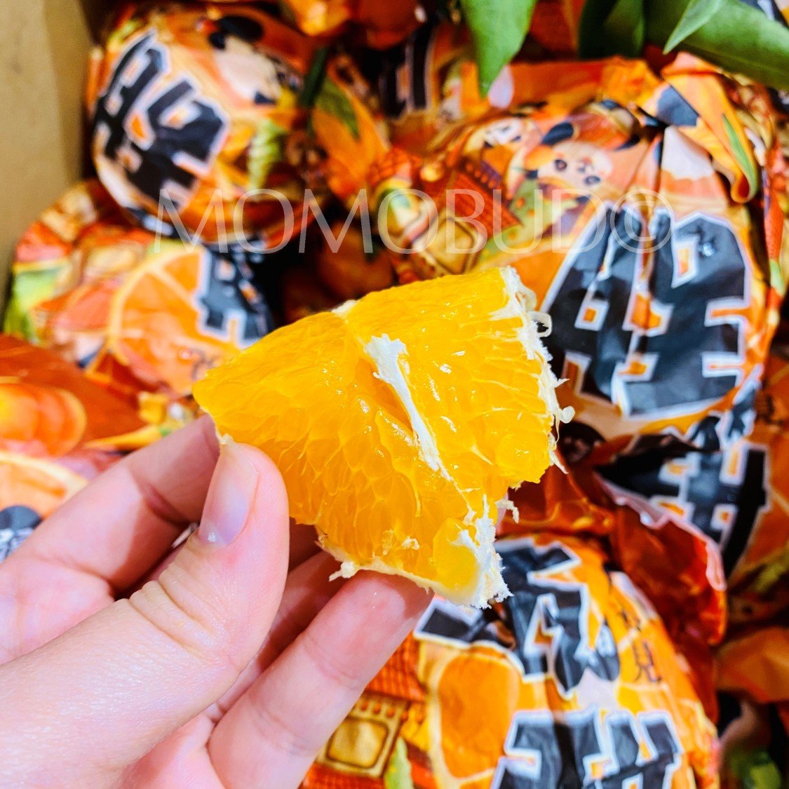 China Zhentian Chun Jian Ponkan Mandarin Orange - Image 4