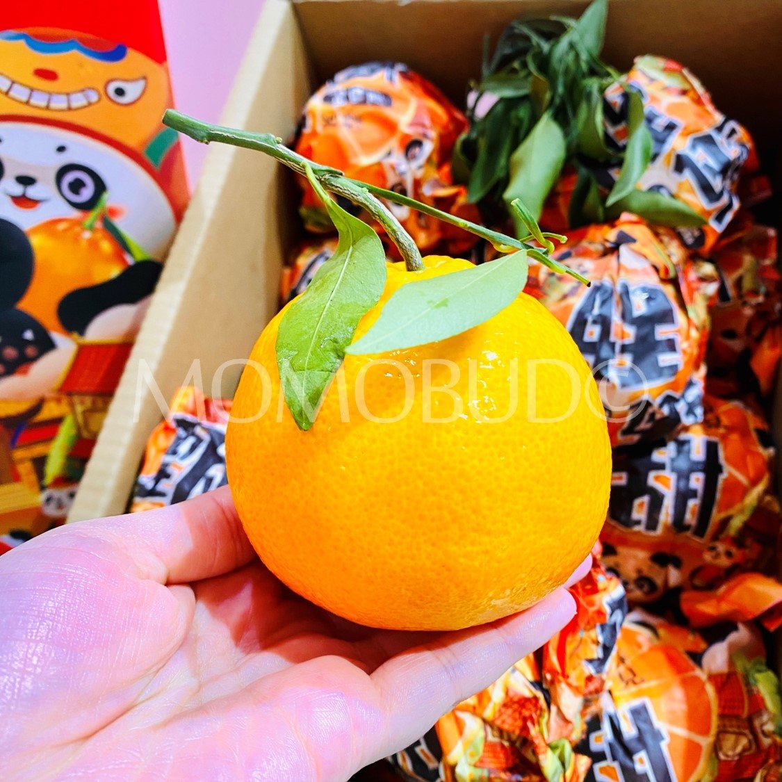 China Zhentian Chun Jian Ponkan Mandarin Orange - Image 2