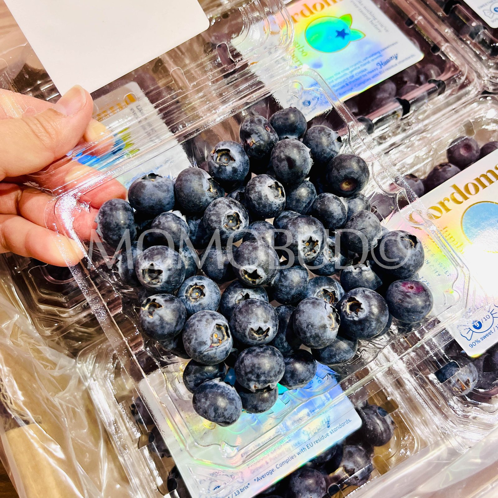 Cordoma Jumbo Blueberry (125g punnet) - Image 3