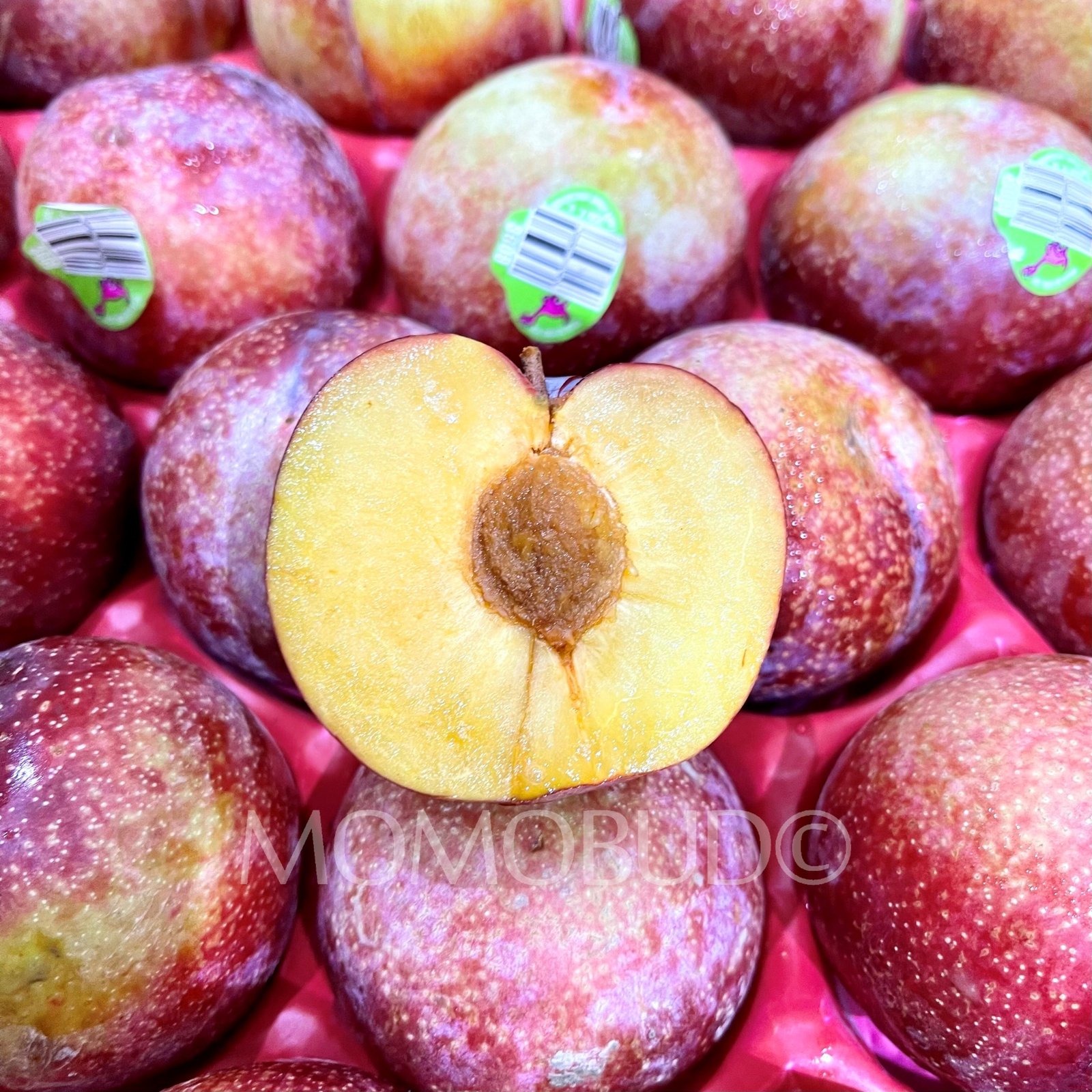 Dino Brand® Flavor King Pluot (Small-Plus, 4pcs) - Image 4