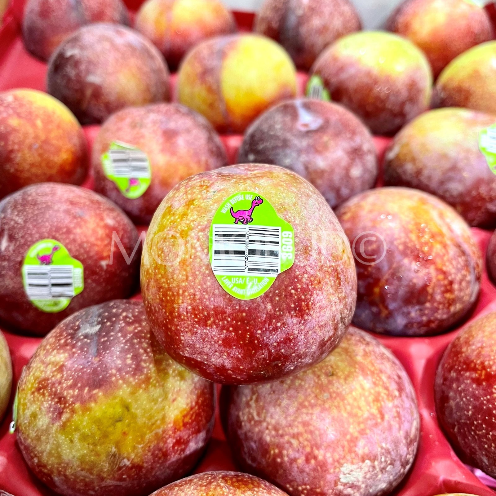 Dino Brand® Flavor King Pluot (Small-Plus, 4pcs) - Image 2