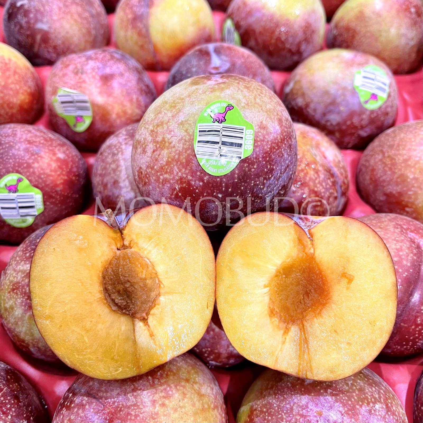 Dino Brand® Flavor King Pluot (Small-Plus, 4pcs) - Image 3