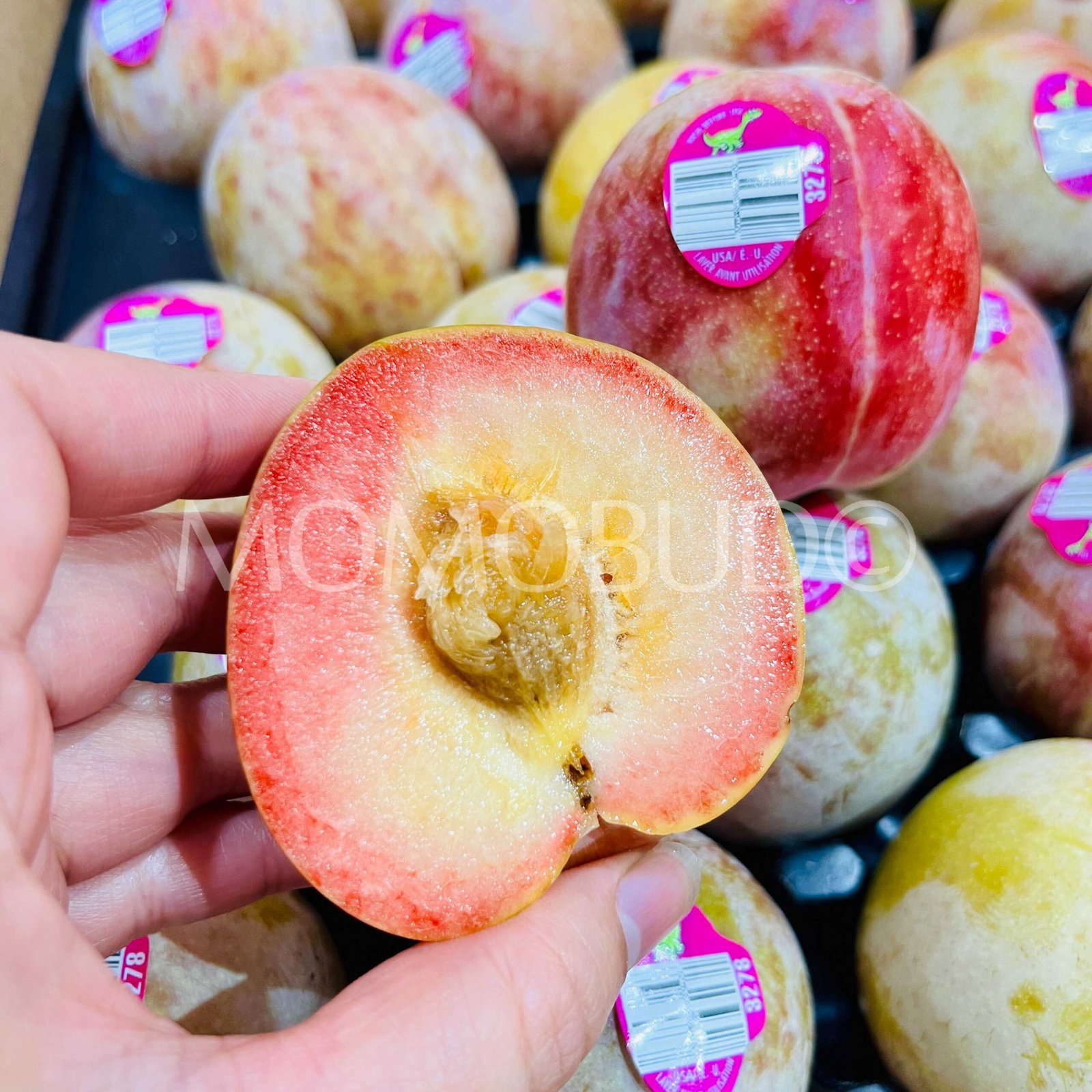 Autumn Honey Pluot (Medium, 5pcs) - Image 5