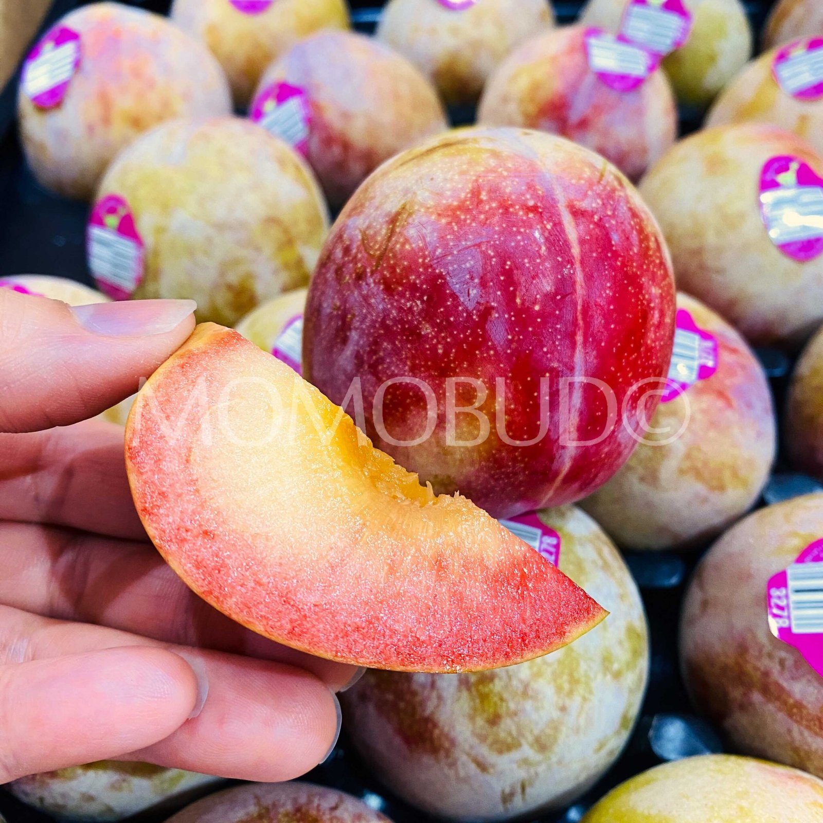 Autumn Honey Pluot (Medium, 5pcs) - Image 6