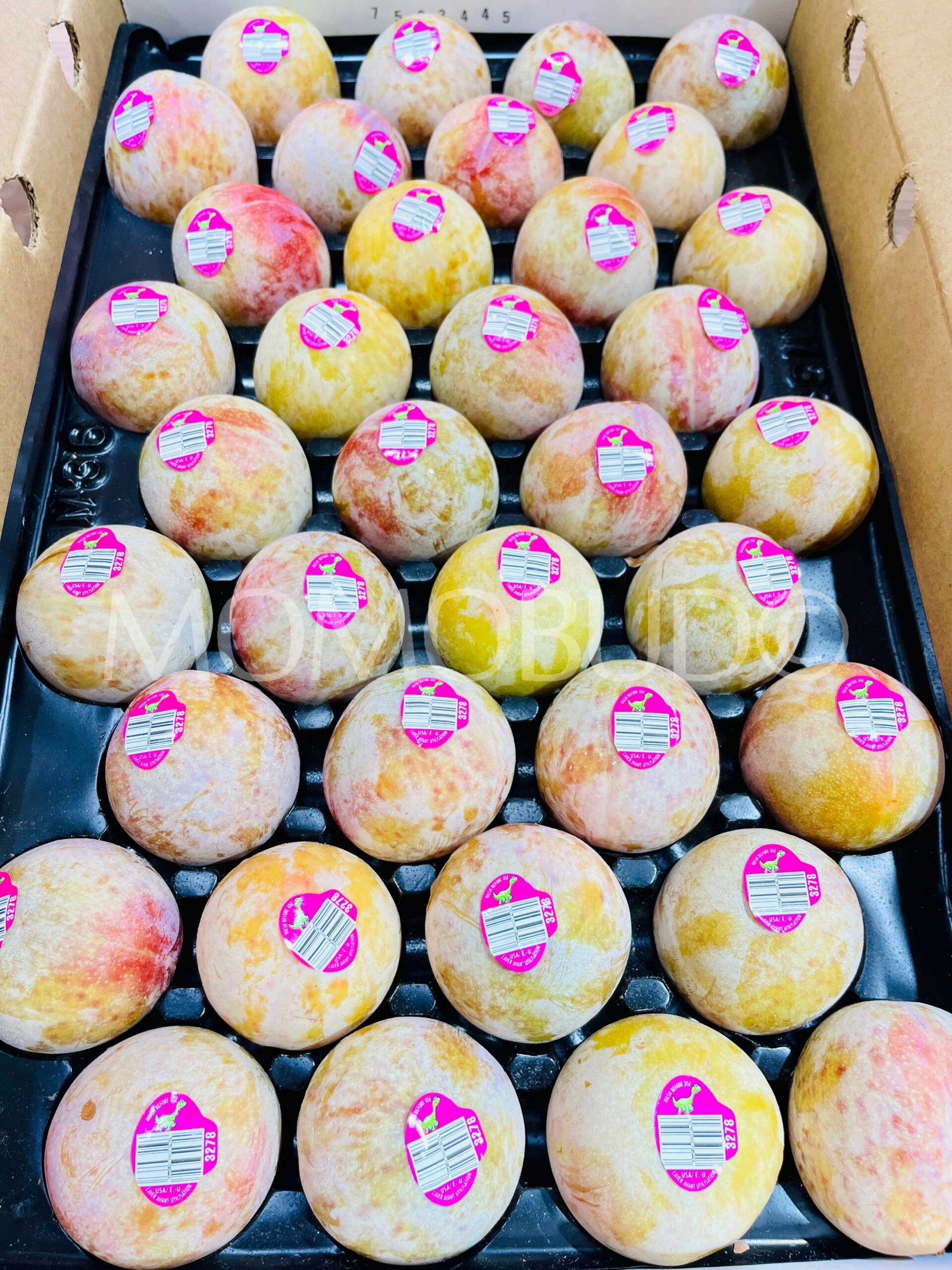 Autumn Honey Pluot (Medium, 5pcs) - Image 2