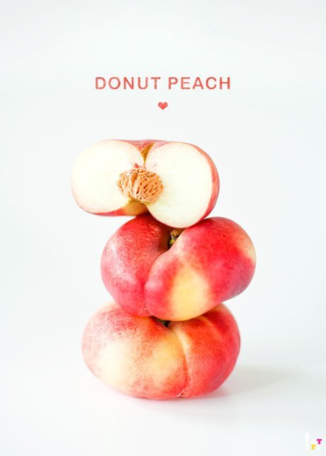 Australian Crown Koala Flat Donut Peach (500g punnet, 7pcs) - Image 4