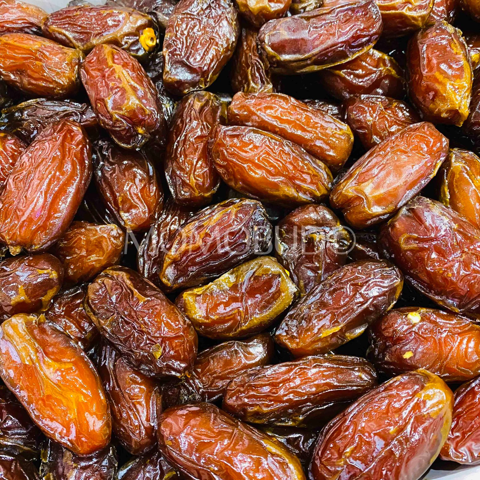Jumbo Double Date Medjool Dates - Image 3