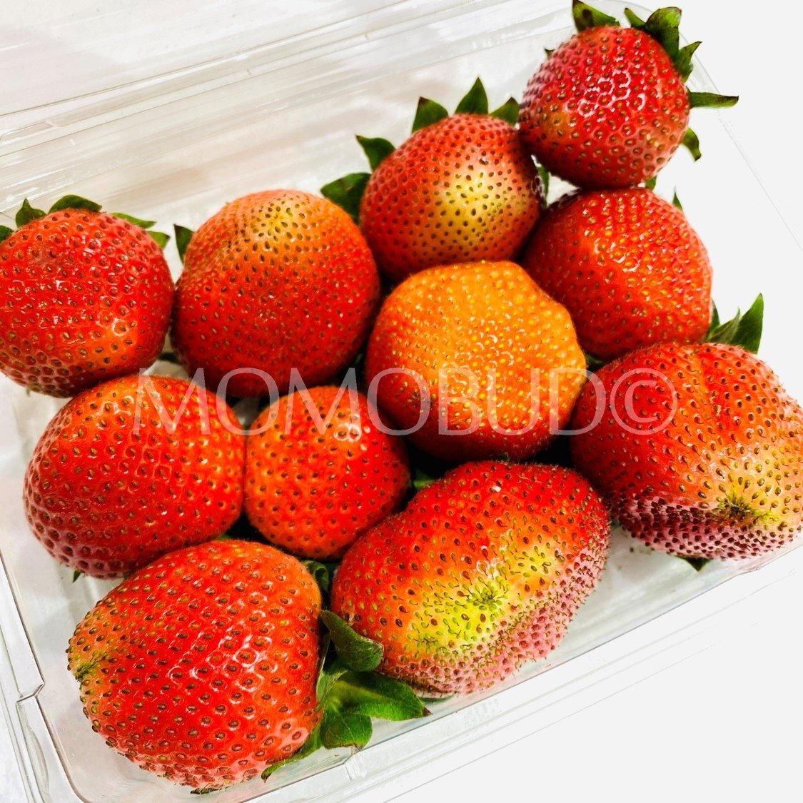 USA Driscoll's Strawberry (250g punnet) - Image 2