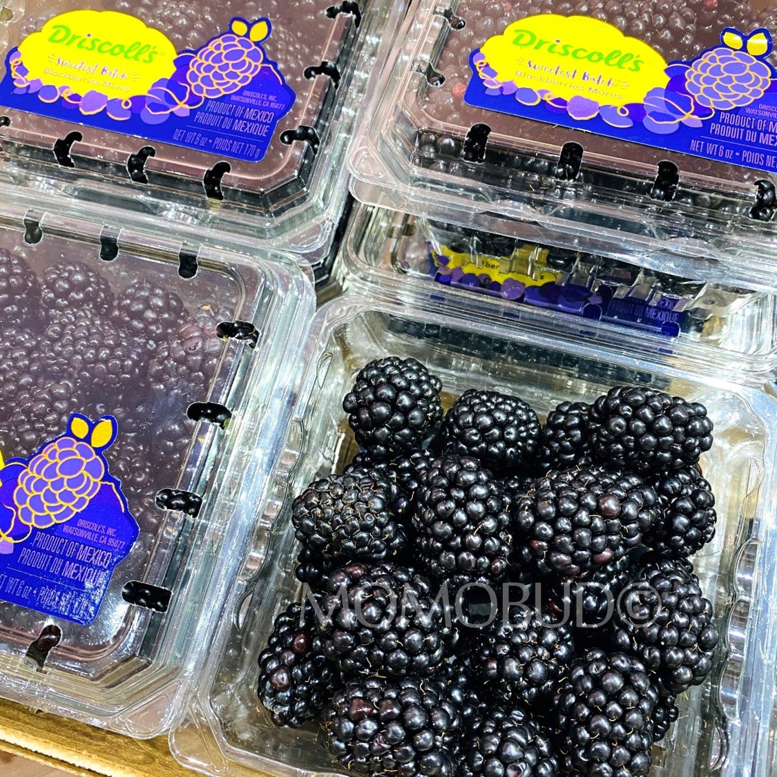 Driscoll's Sweetest Batch Blackberry (170g punnet) - Image 2