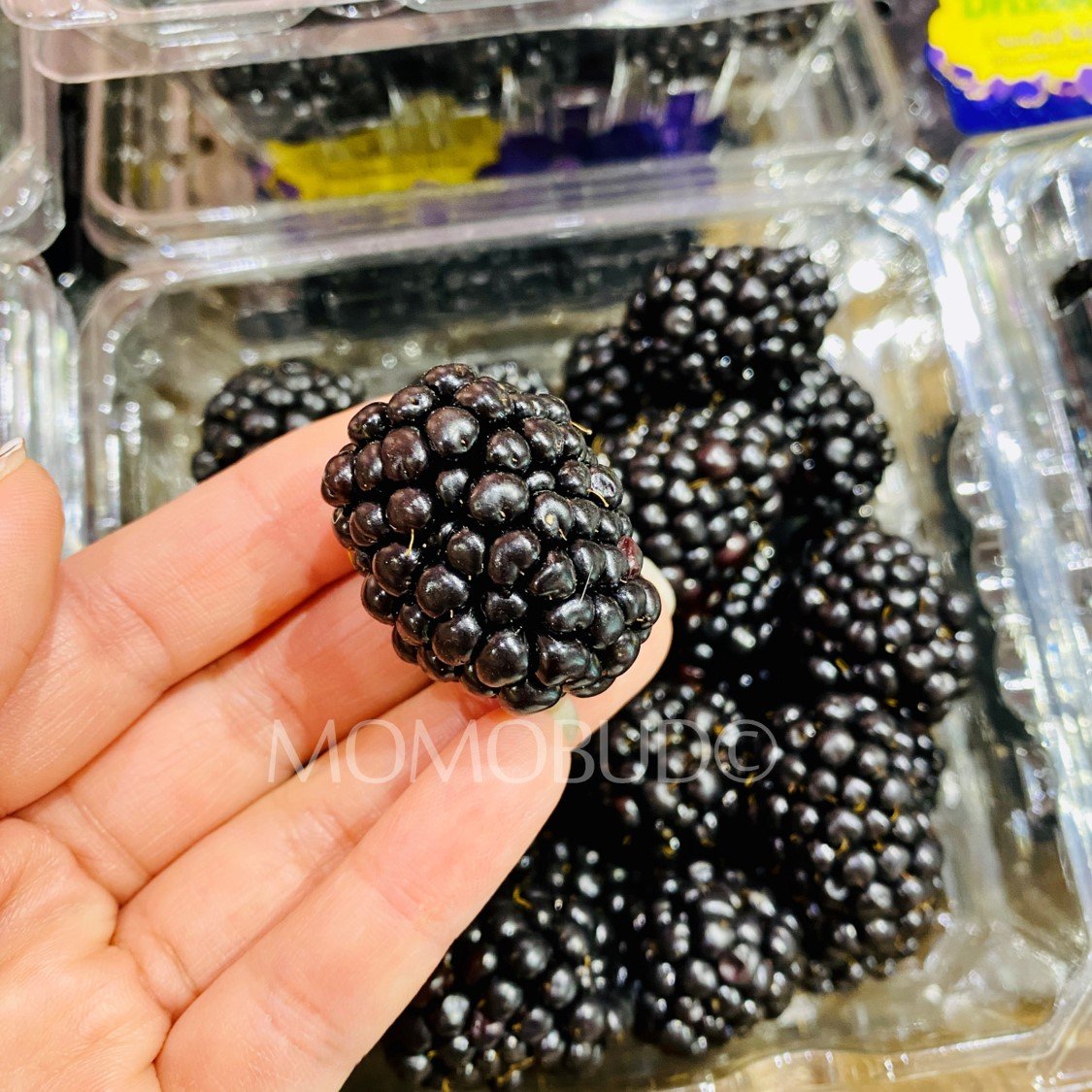 Driscoll's Sweetest Batch Blackberry (170g punnet) - Image 4