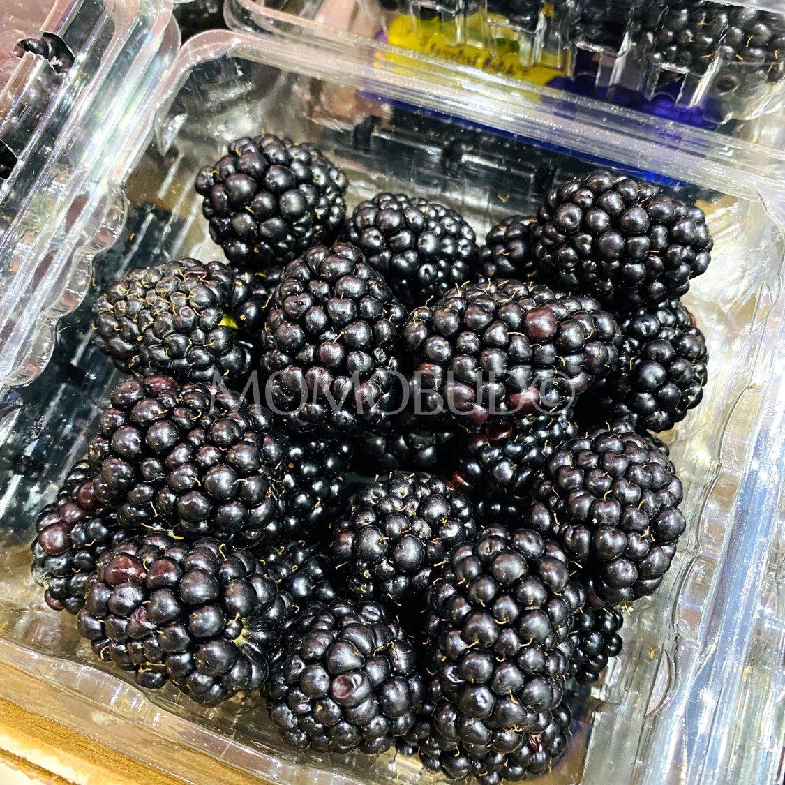 Driscoll's Sweetest Batch Blackberry (170g punnet) - Image 3