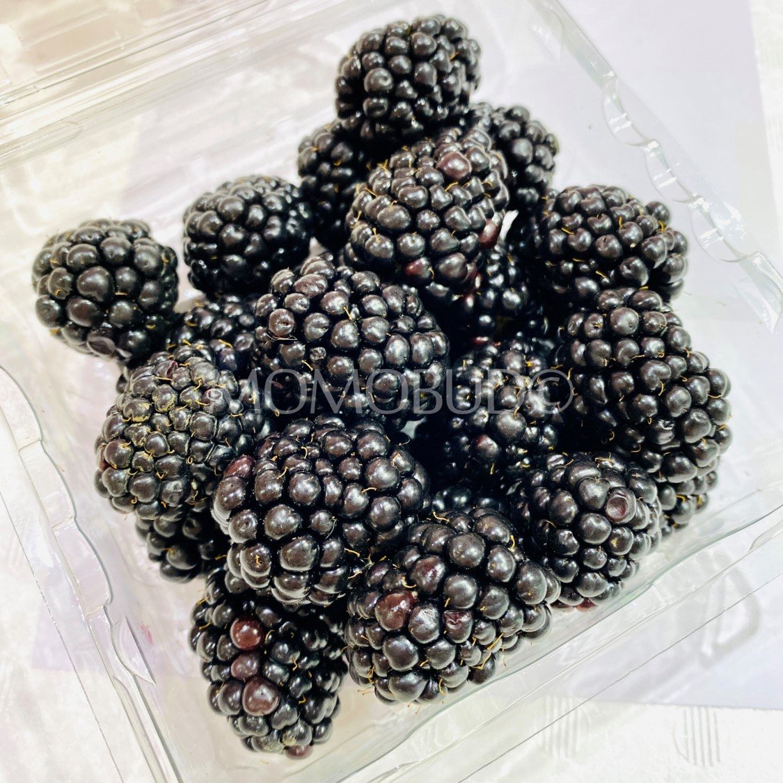 Driscoll's Sweetest Batch Blackberry (170g punnet) - Image 5