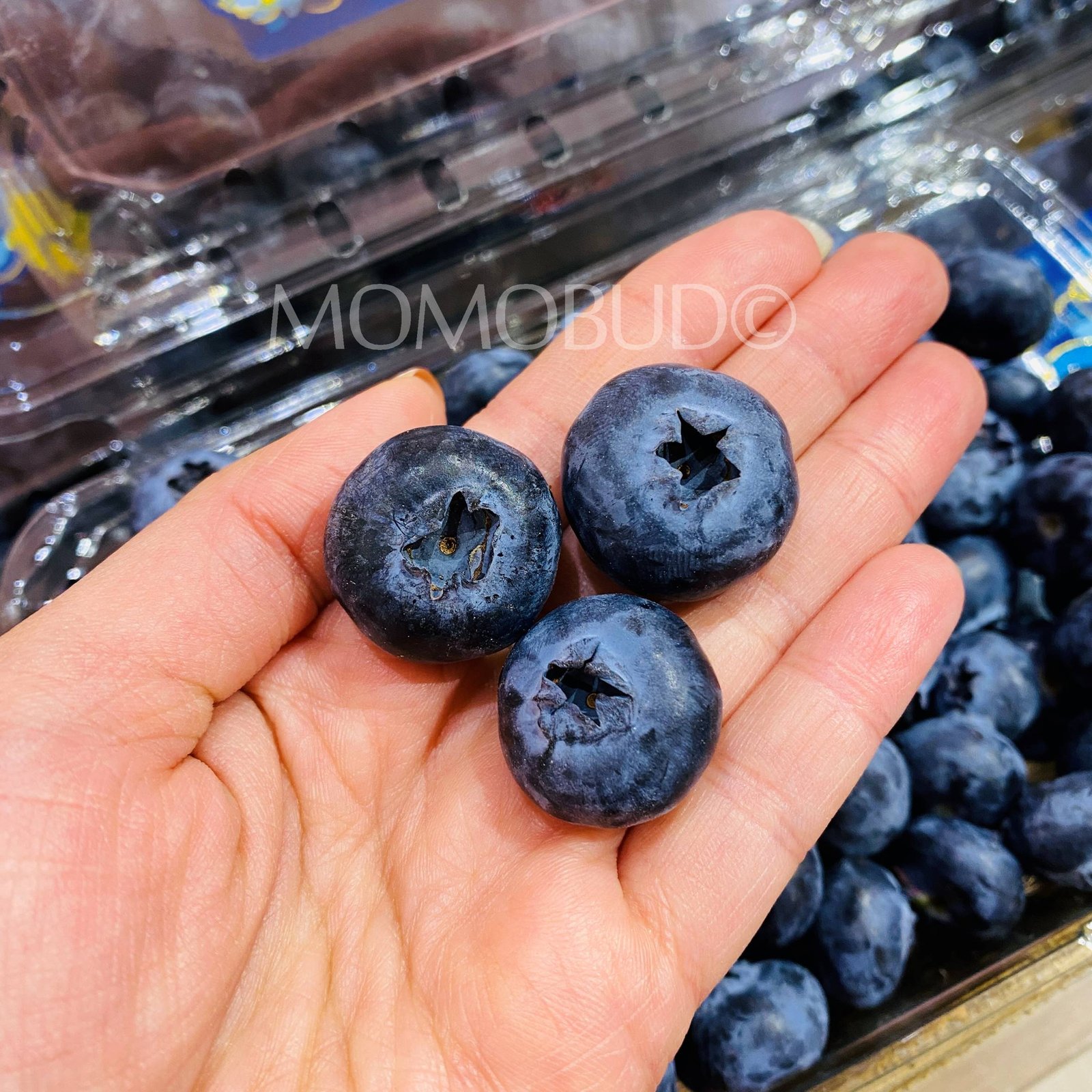 Jumbo Driscoll's Sweetest Batch Blueberry (312g punnet) - Image 3