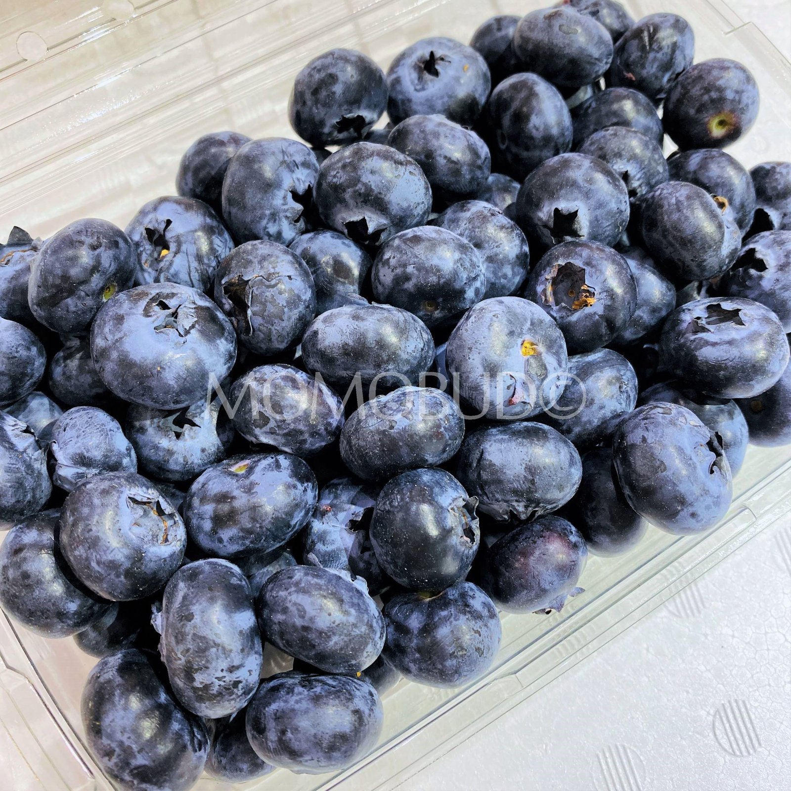 Jumbo Driscoll's Sweetest Batch Blueberry (312g punnet) - Image 2