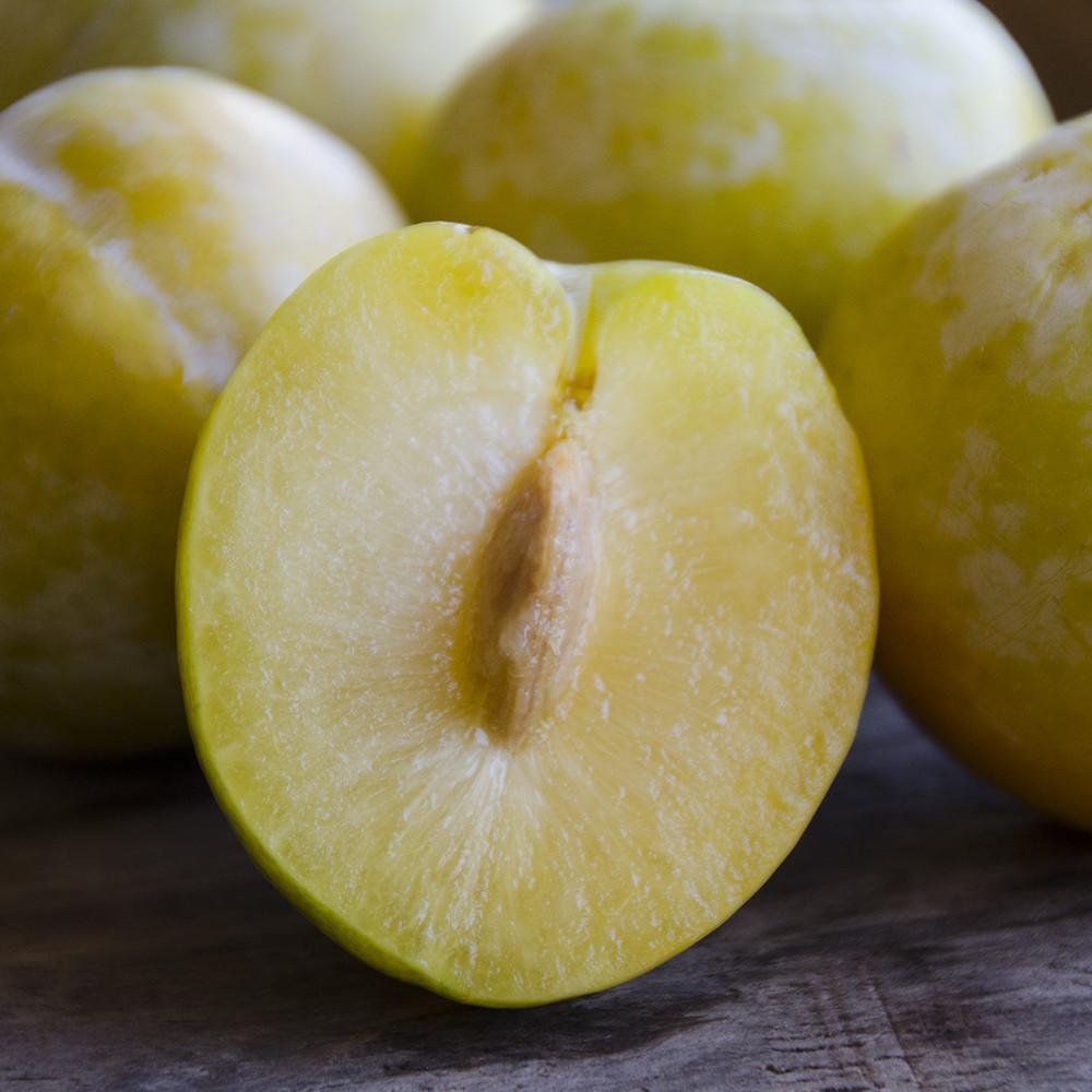 Emerald Beaut Pluot Box - Image 6
