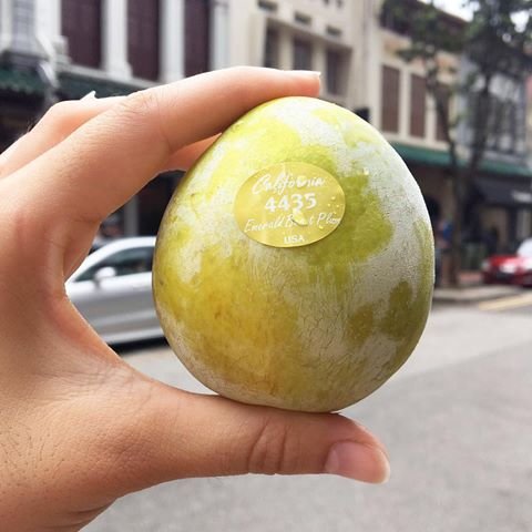 Emerald Beaut Pluot Box - Image 5