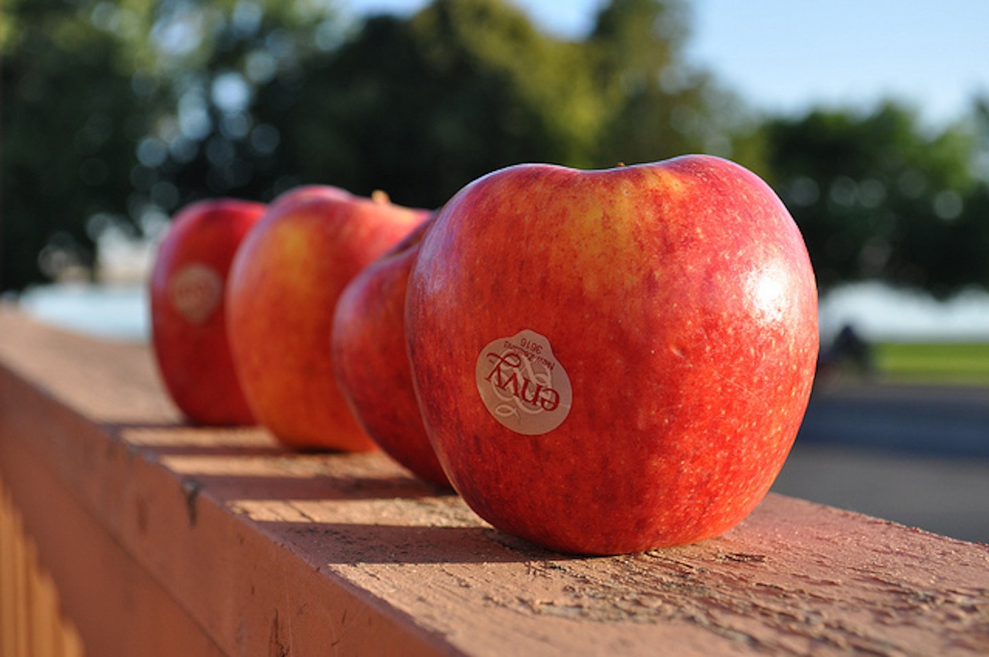 Envy Apple - Image 4