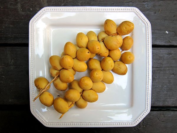 Fresh Barhi Dates Box (2kg) - Image 5