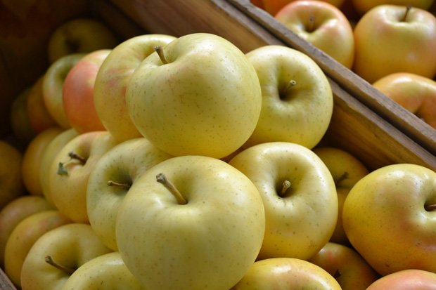 Japanese Toki Apple (Medium, 3pcs) - Image 5