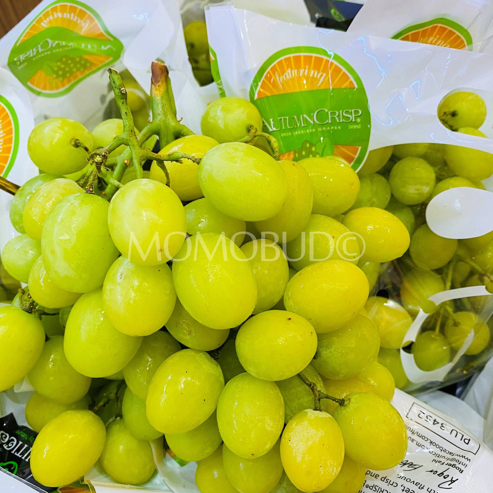 Fruitico Jumbo Autumn Crisp® Green Seedless Grapes (1kg) - Image 4