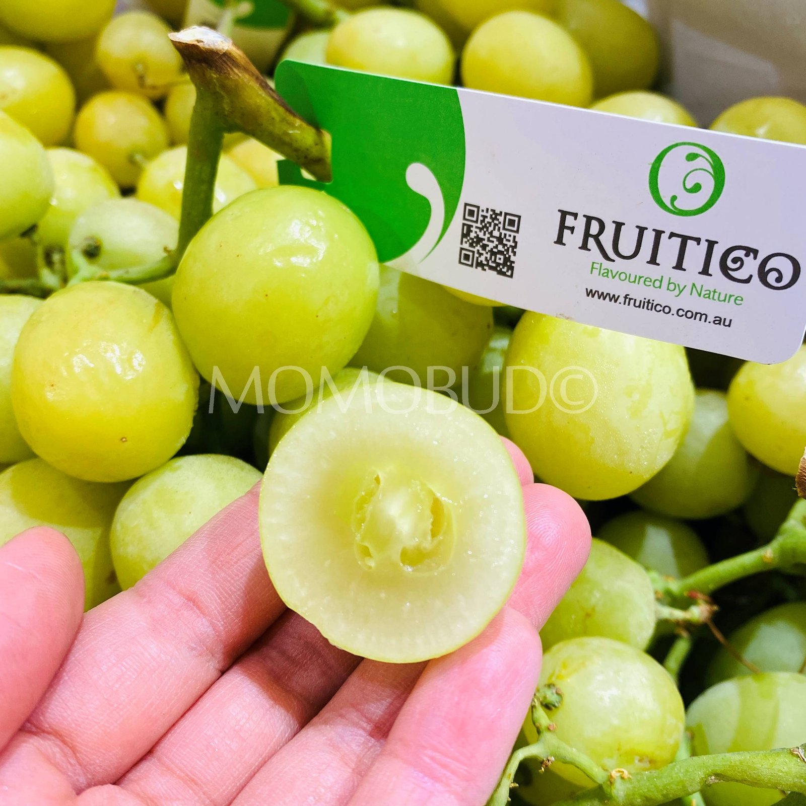 Fruitico Jumbo Autumn Crisp® Green Seedless Grapes (1kg) - Image 2