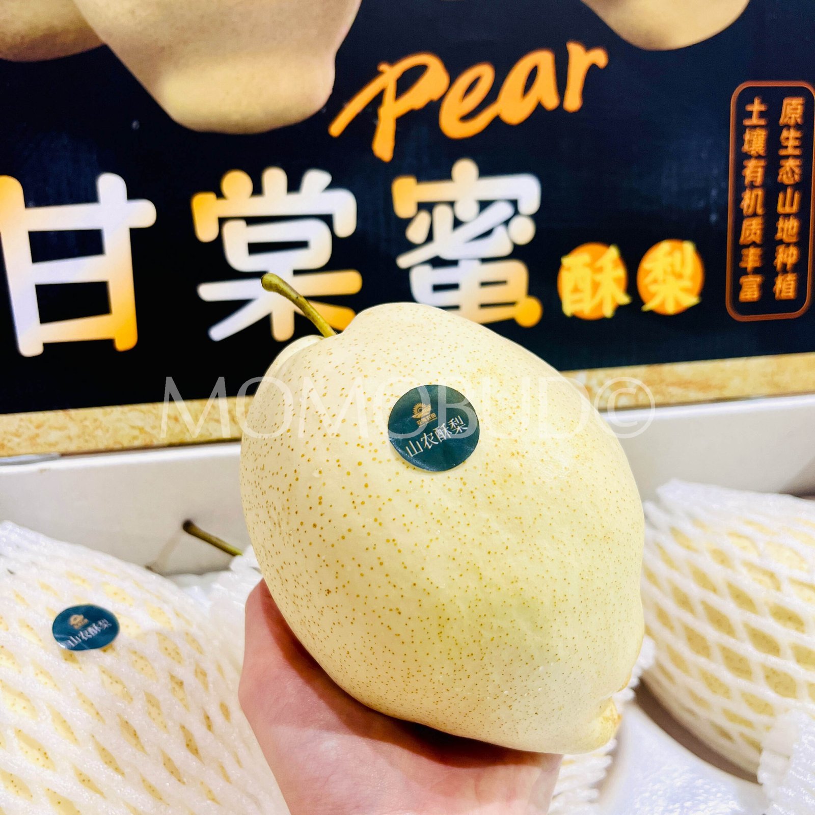 Gantang Honey Golden Pear (Jumbo) - Image 3