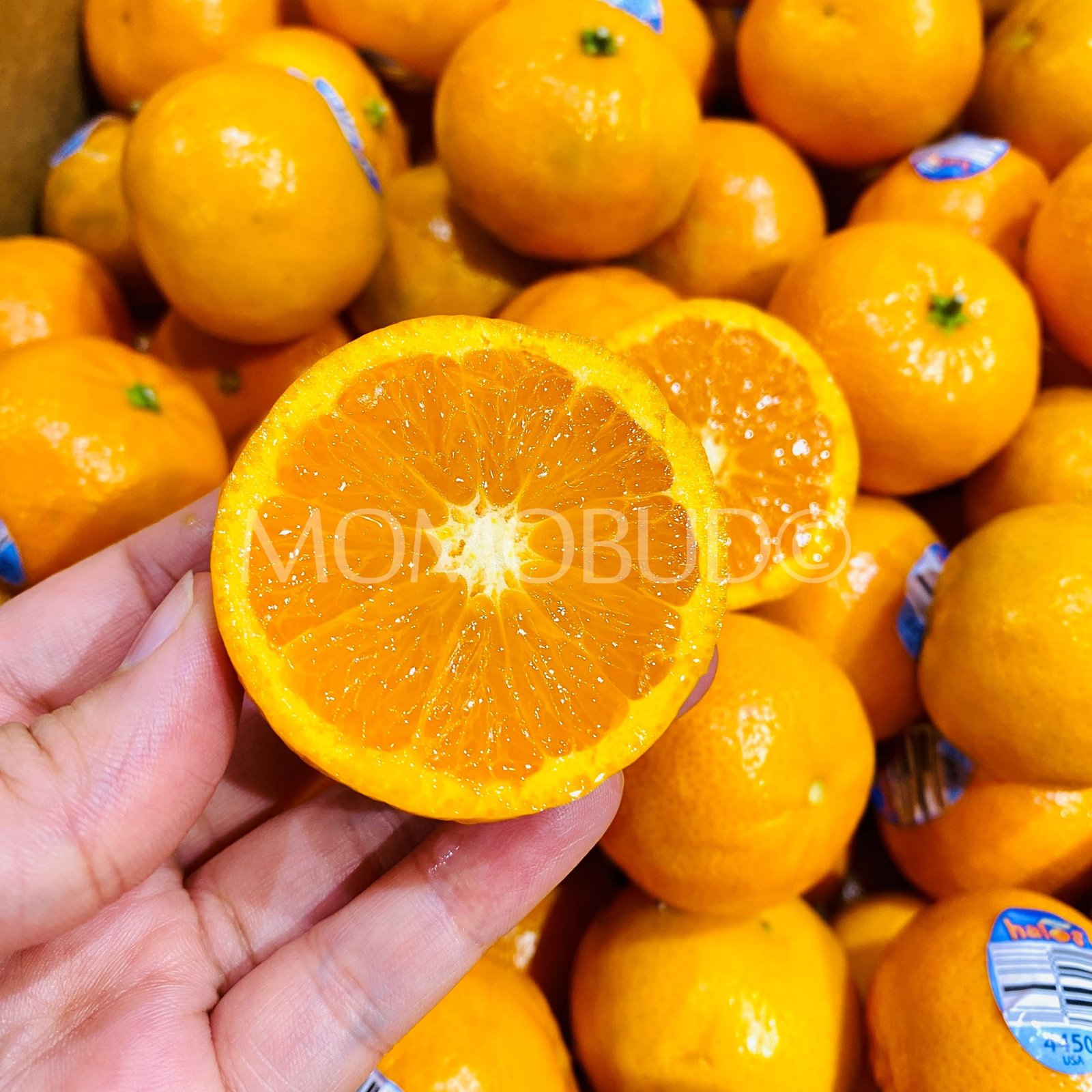 Halos Mandarin Orange (1kg) - Image 3