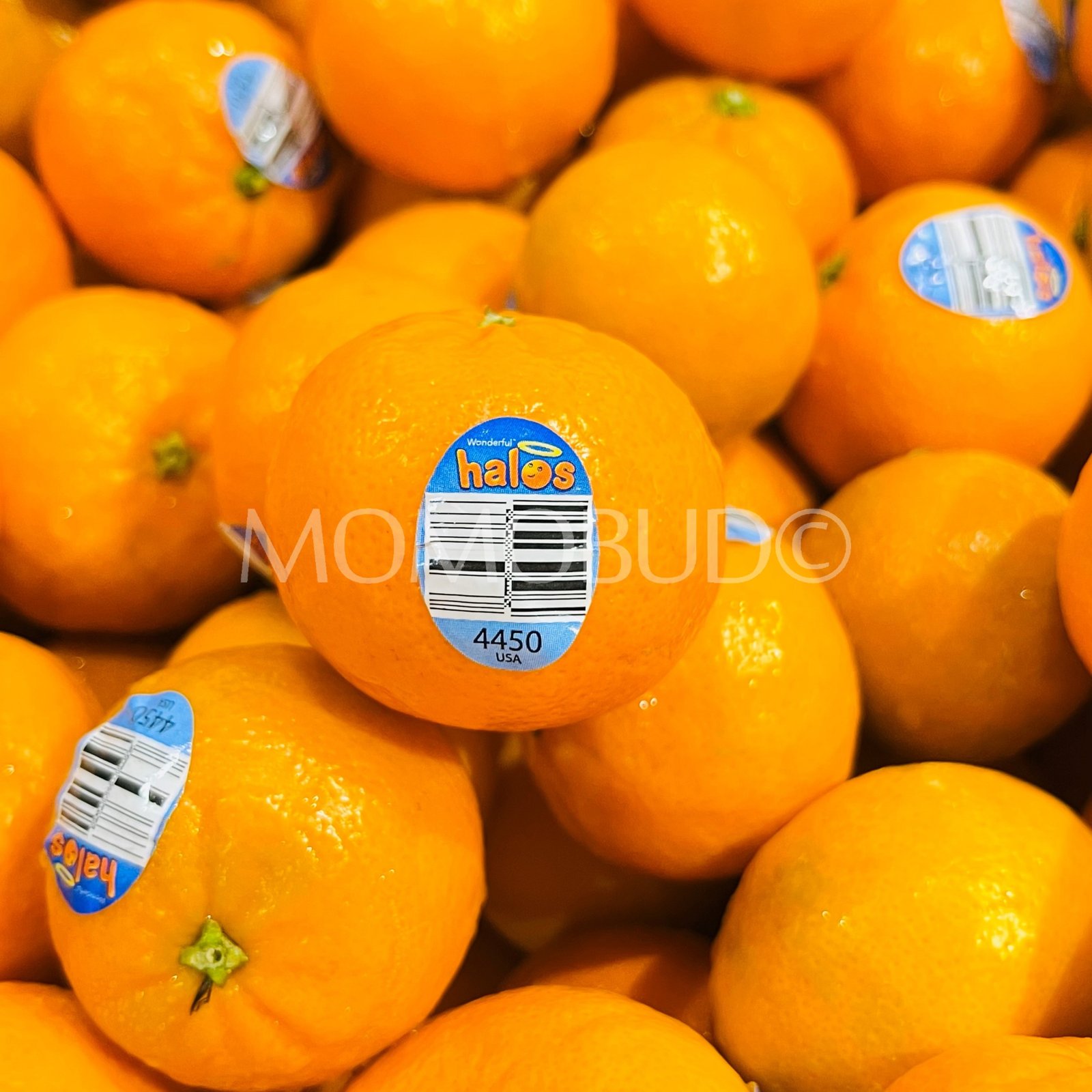 Halos Mandarin Orange (1kg) - Image 2