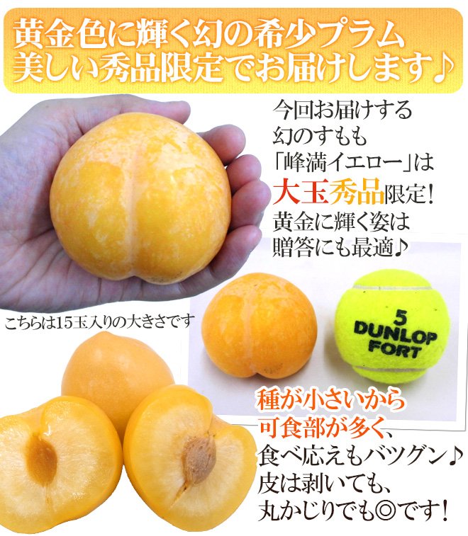Japanese Homaniero Plum (Medium-Plus) - Image 12