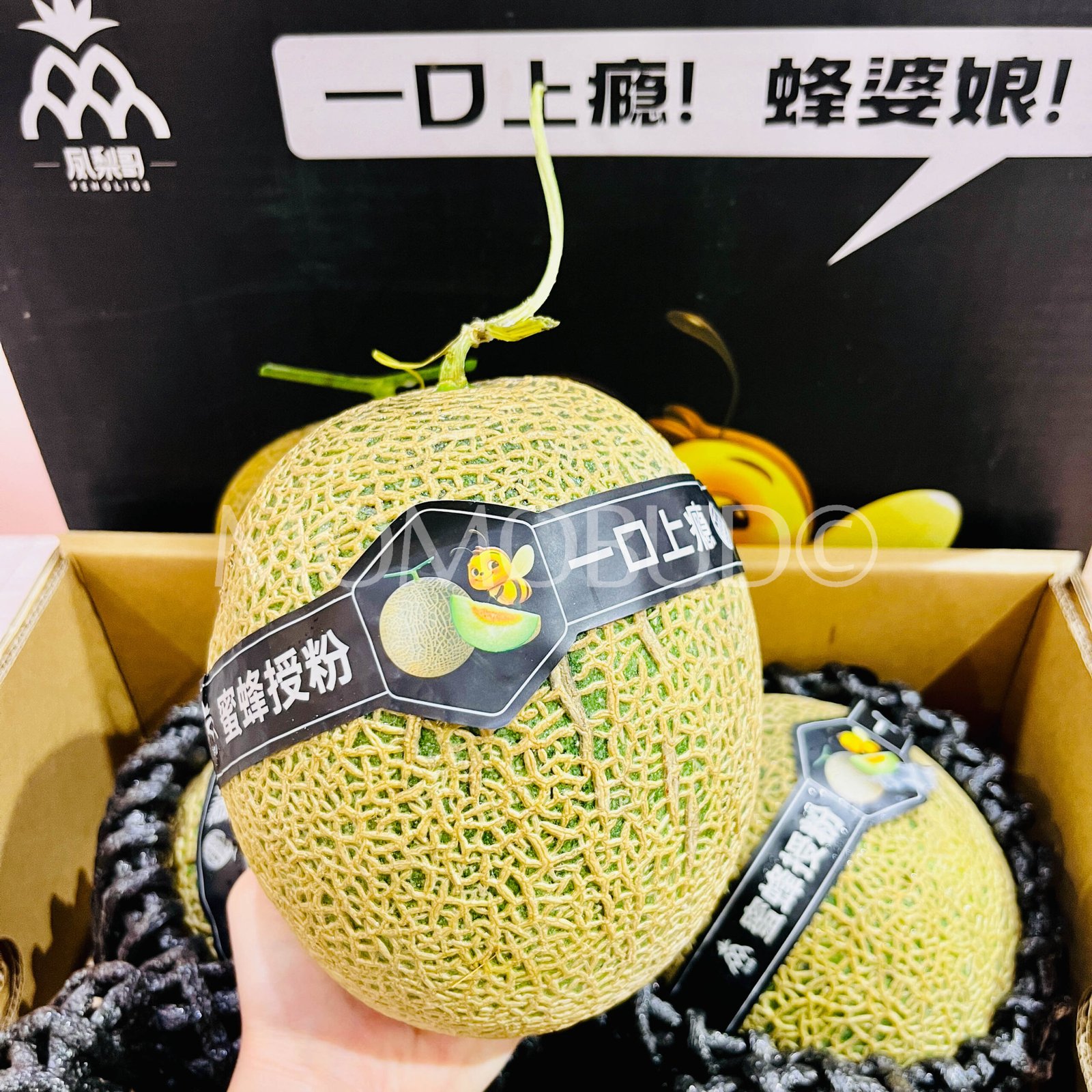 Honey Bee Green Muskmelon - Image 5