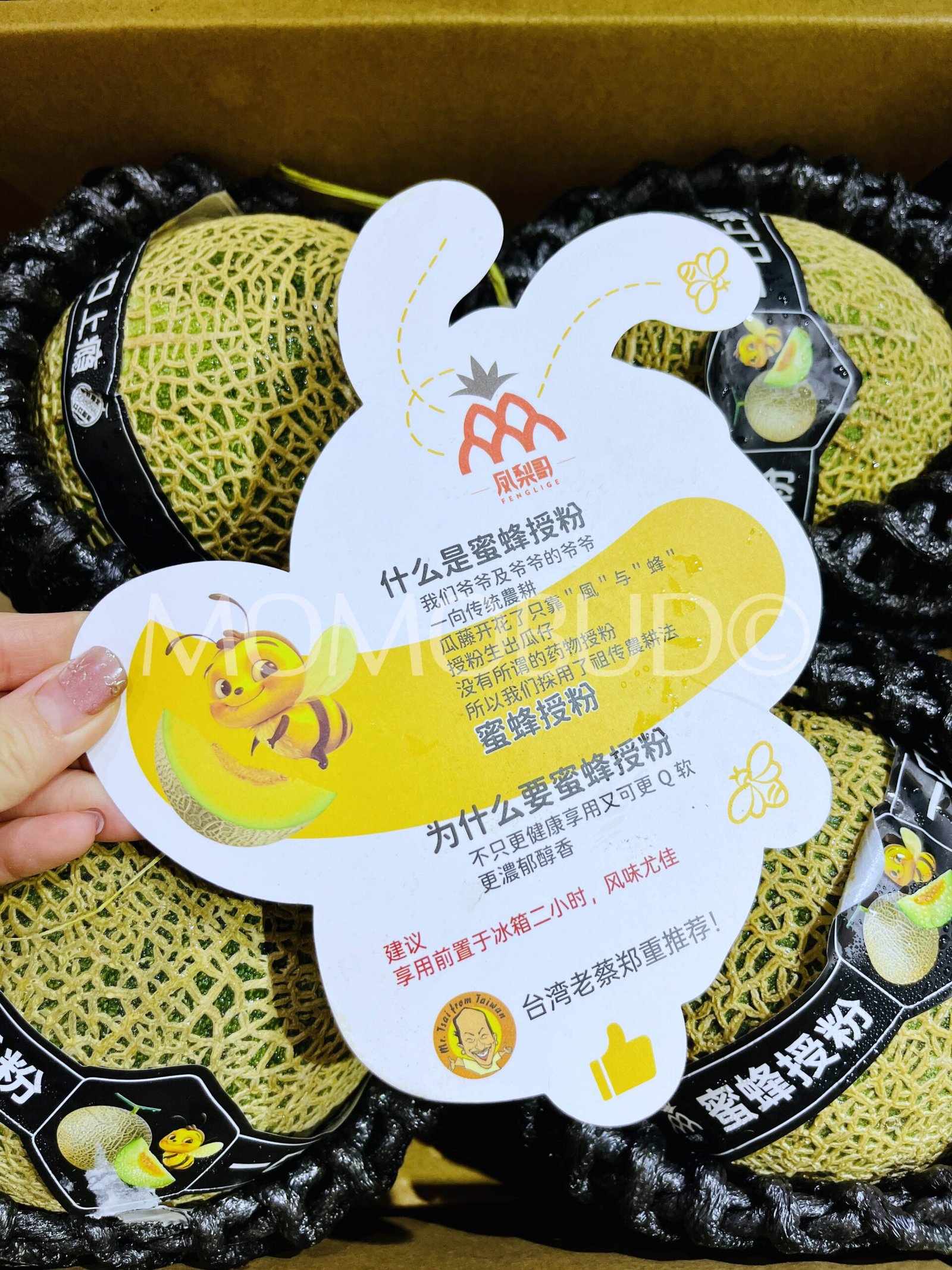 Honey Bee Green Muskmelon - Image 6
