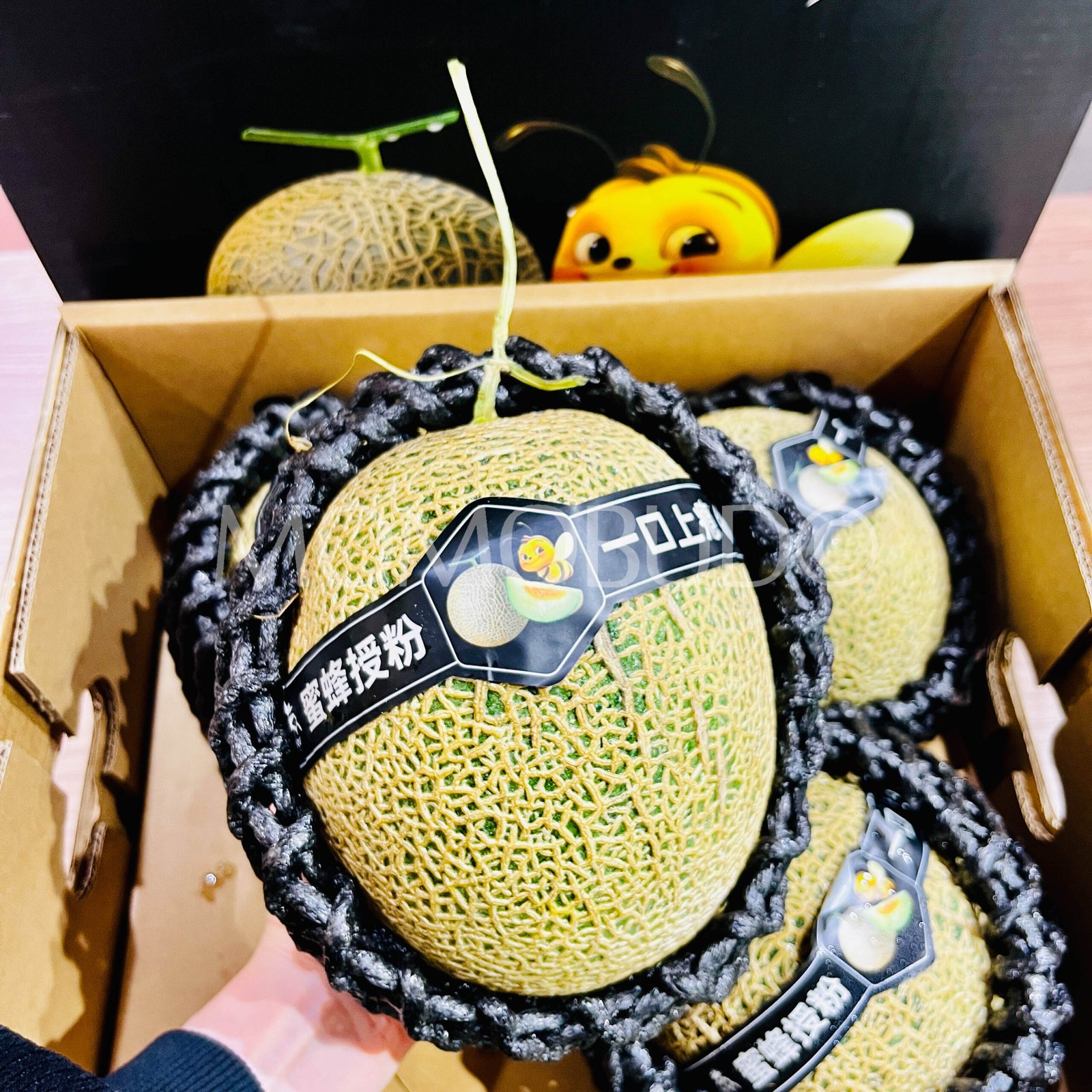 Honey Bee Green Muskmelon - Image 4