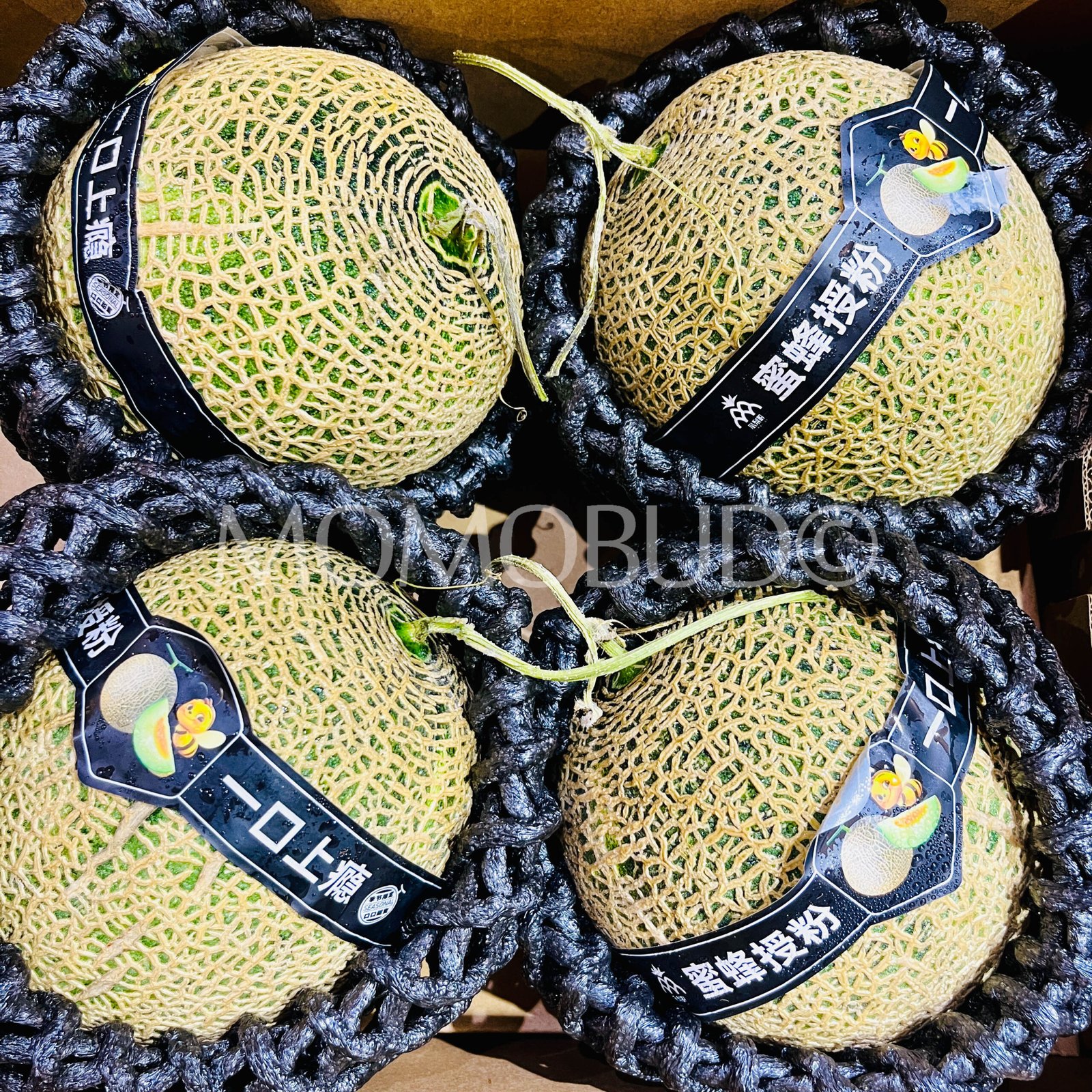 Honey Bee Green Muskmelon - Image 3