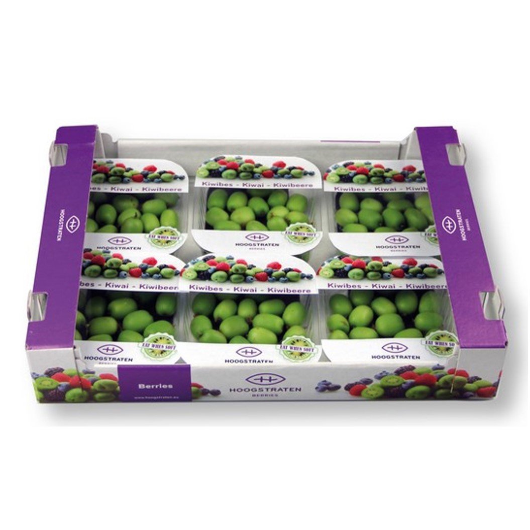 Hoogstraten Kiwiberry - Image 3