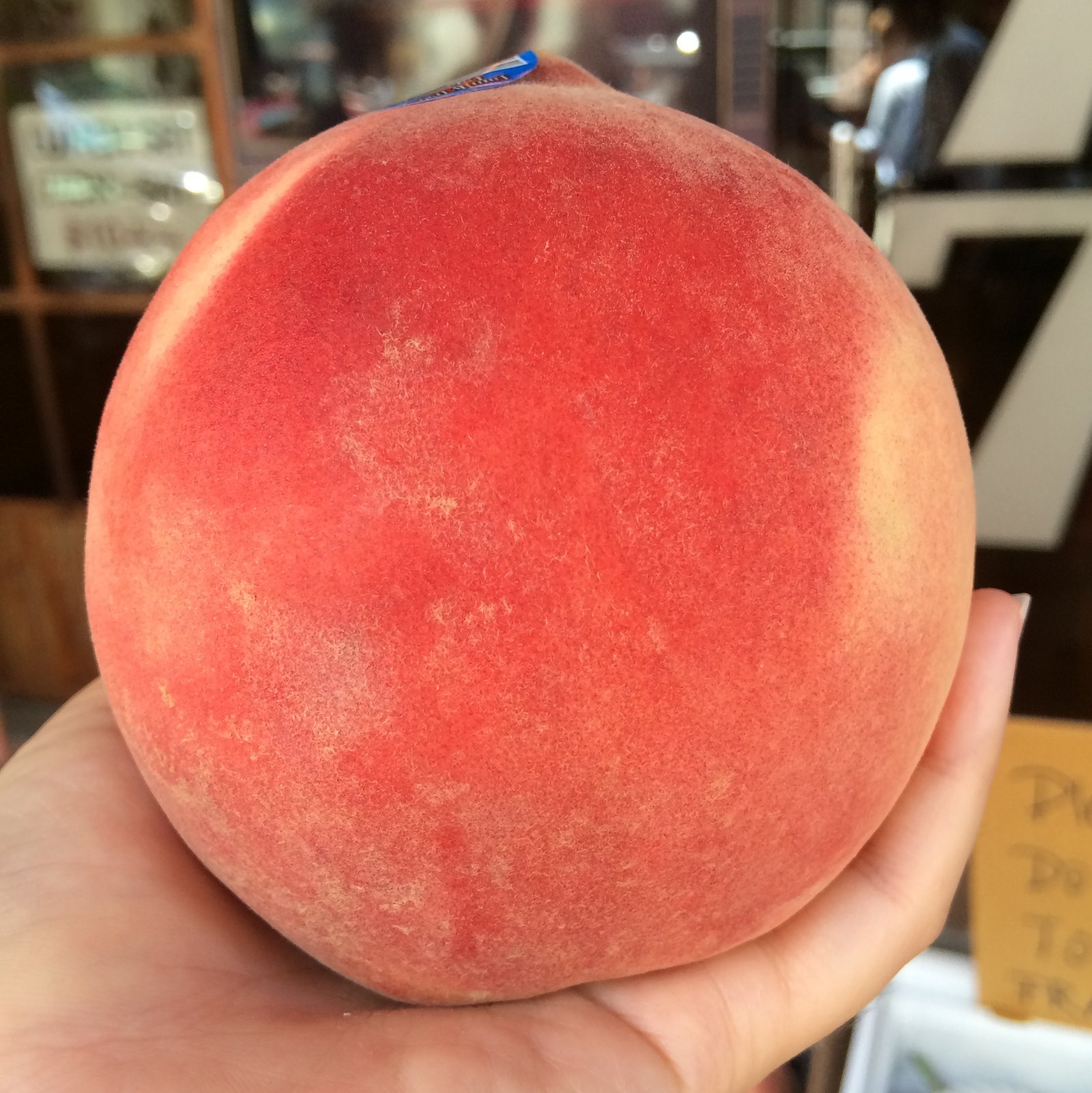 Family Farm Tree® Pink Moon Peach (Jumbo) - Image 3