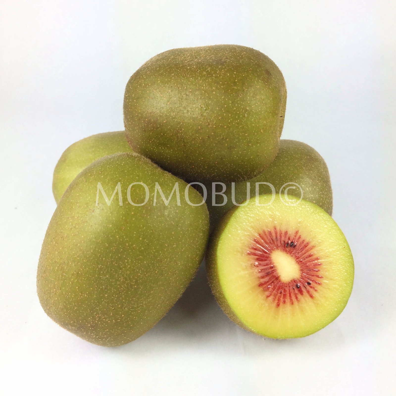 Red Heart Kiwi (5pcs punnet) - Image 3