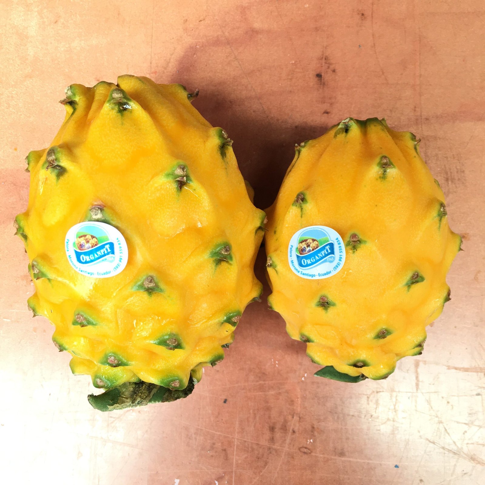 Pitahaya, Yellow Dragonfruit - Image 2