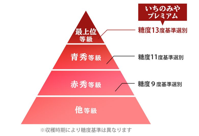Japanese Premium Ichinomiya Hikawa Hakuhou White Peach (Medium-Plus) - Image 9