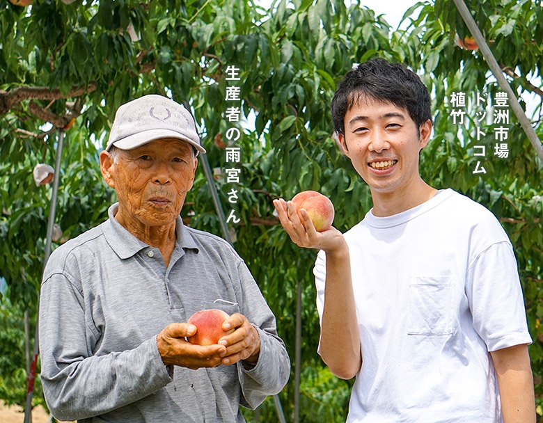 Japanese Premium Ichinomiya Hikawa Hakuhou White Peach (Medium-Plus) - Image 8
