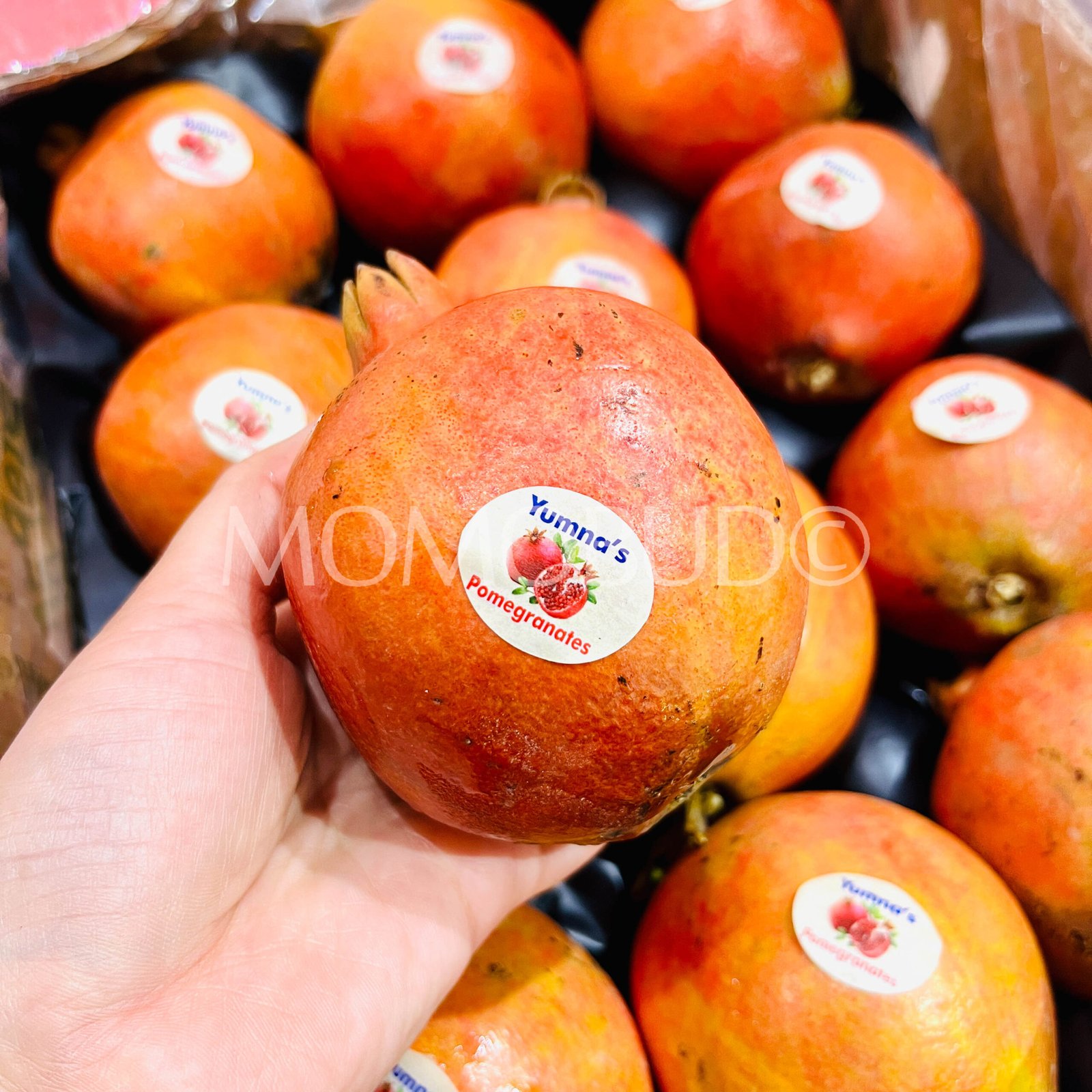 Indian Yumna's Bhagwa Pomegranate - Image 3