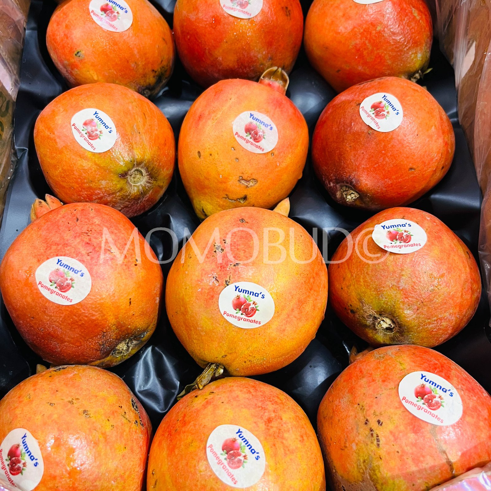 Indian Yumna's Bhagwa Pomegranate - Image 2
