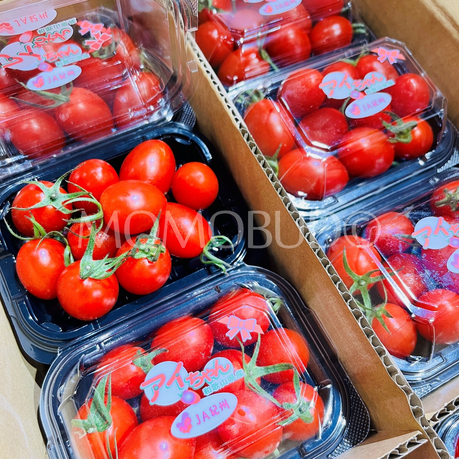 Japanese Ai-chan Cherry Tomato (150g punnet) - Image 3