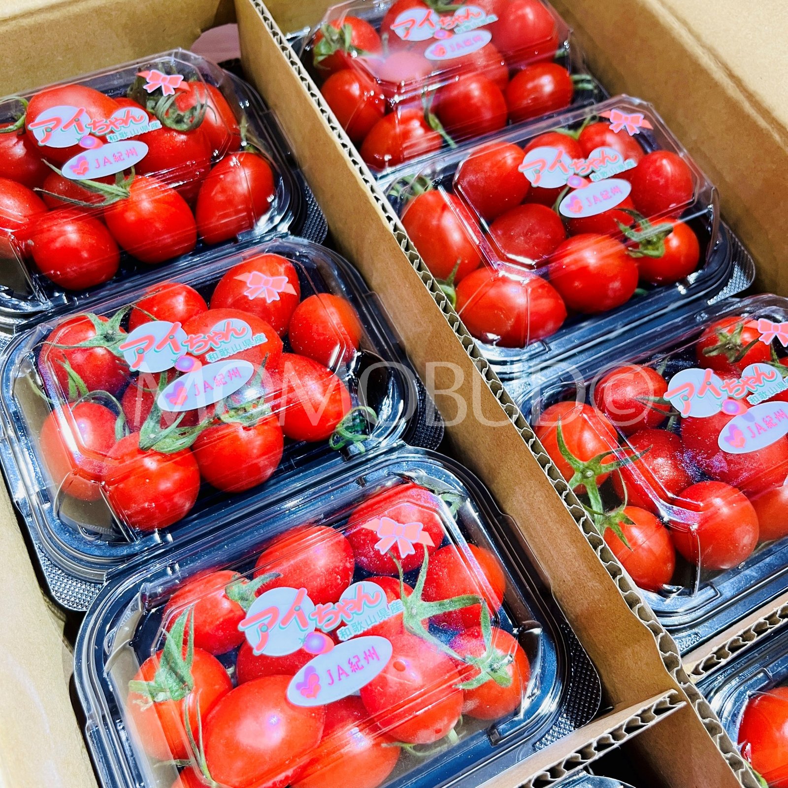 Japanese Ai-chan Cherry Tomato (150g punnet) - Image 2