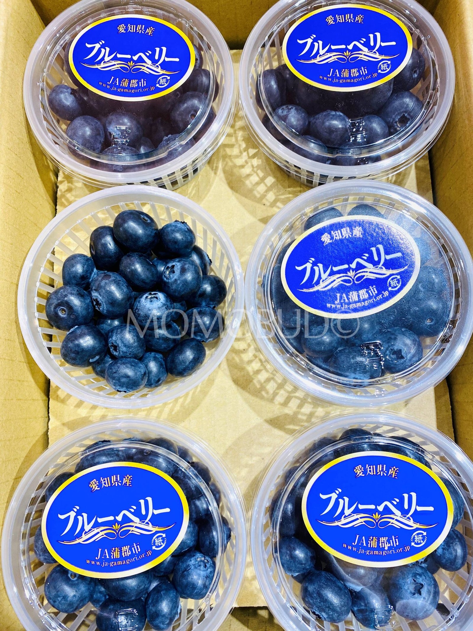 Japanese Aichi Blueberry (100g punnet) - Image 3