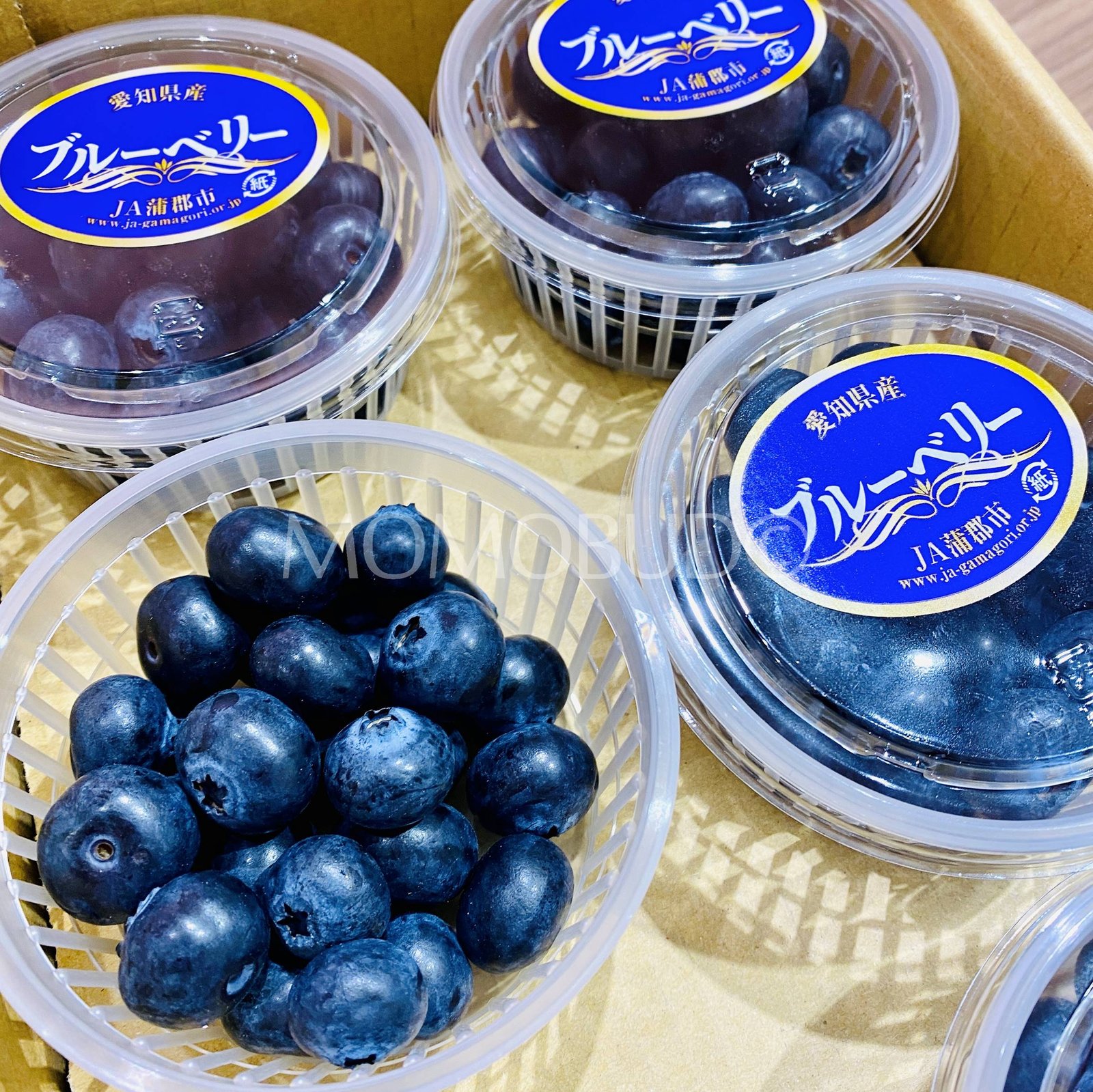Japanese Aichi Blueberry (100g punnet) - Image 2