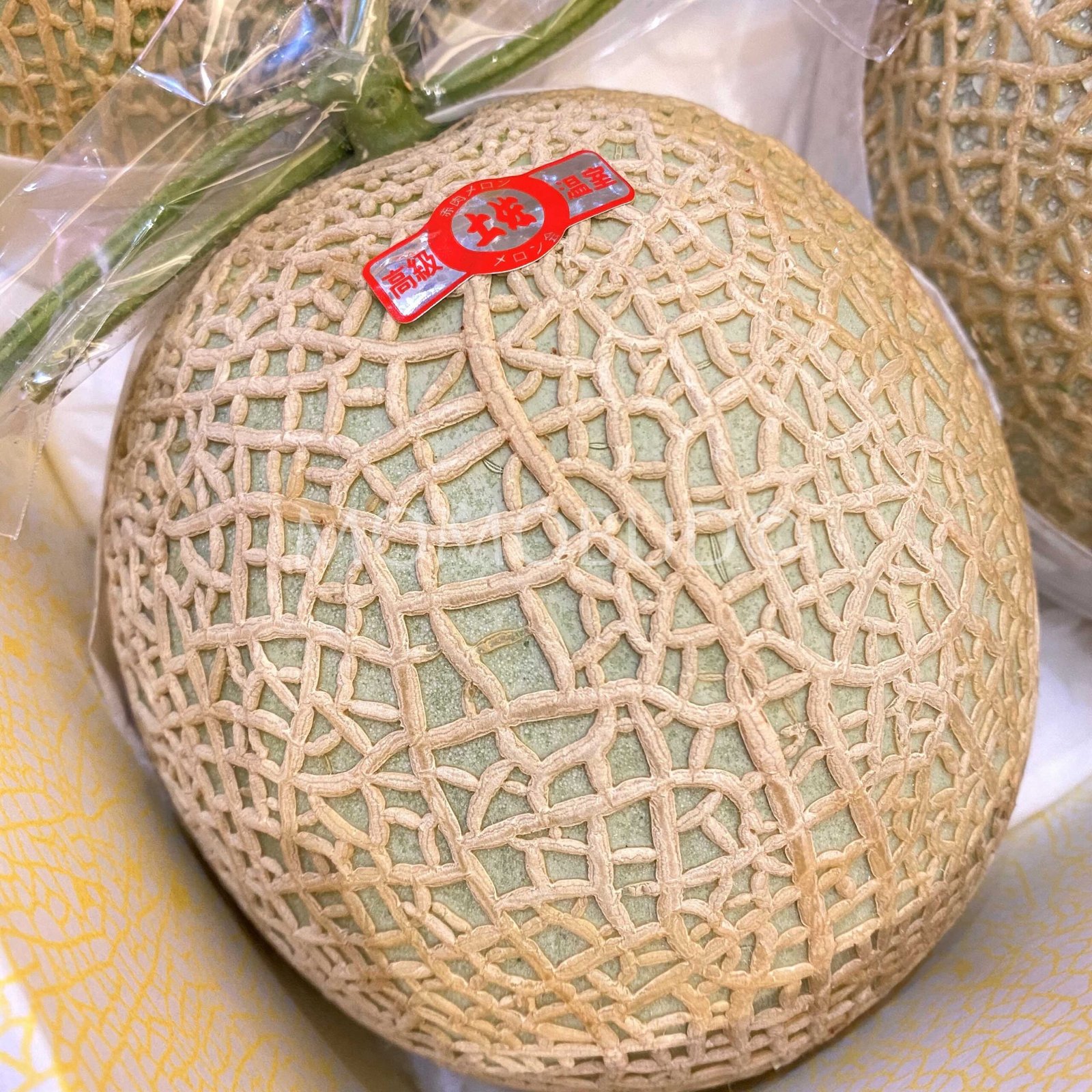 Japanese Kochi Red Muskmelon (Jumbo, 2kg approx) - Image 2
