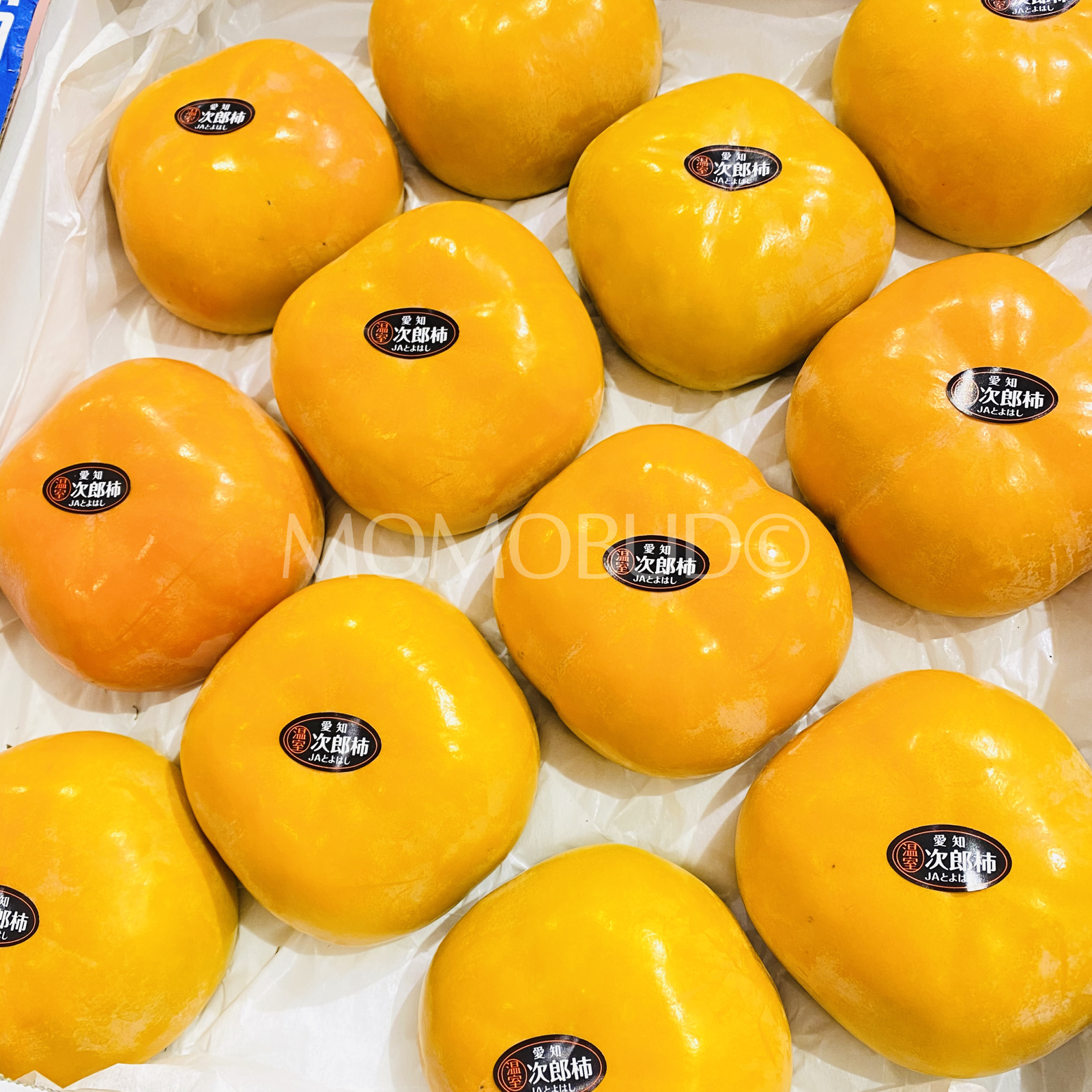 *Special Promo* Japanese Tanenashi Jiro Persimmon (Medium-Plus) - Image 2