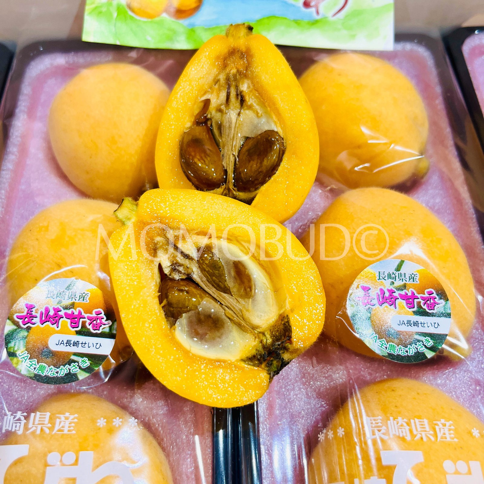 Jumbo Japanese Amaka Biwa (Loquat, 280g punnet) - Image 6