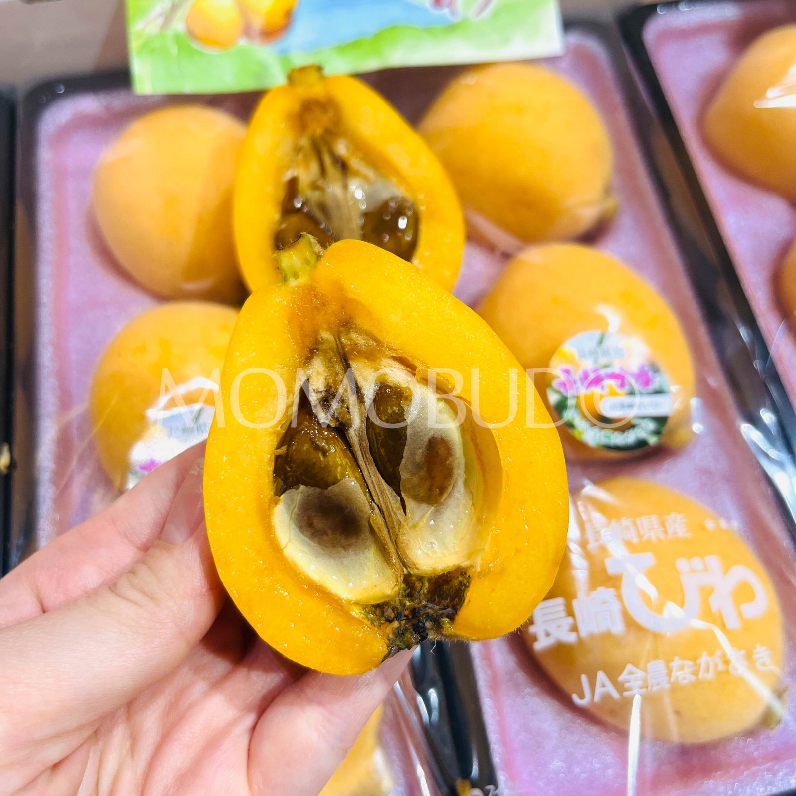 Jumbo Japanese Amaka Biwa (Loquat, 280g punnet) - Image 7