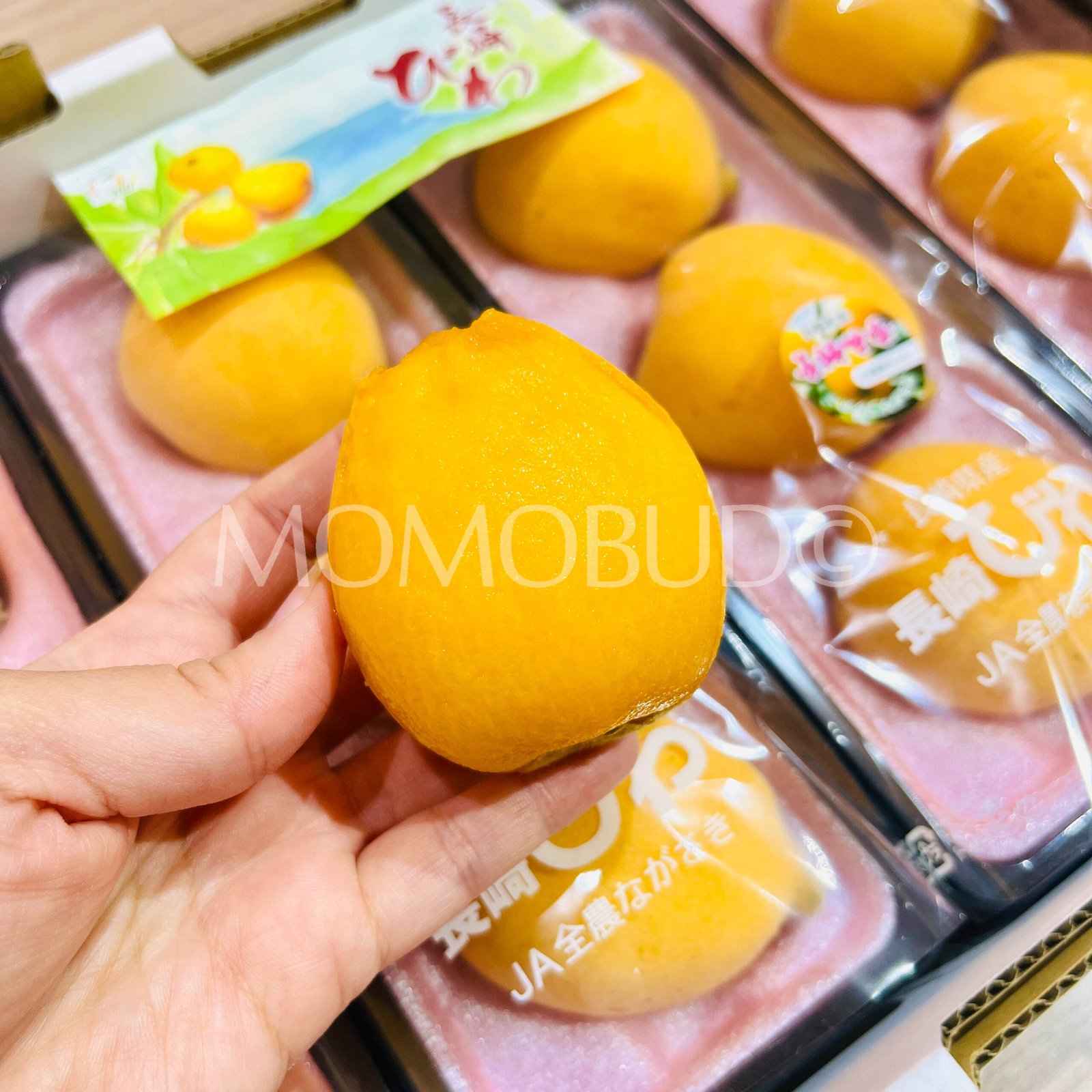 Jumbo Japanese Amaka Biwa (Loquat, 280g punnet) - Image 5